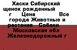 Хаски Сибирский (щенок рожденный 20.03.2017г.) › Цена ­ 25 000 - Все города Животные и растения » Собаки   . Московская обл.,Железнодорожный г.